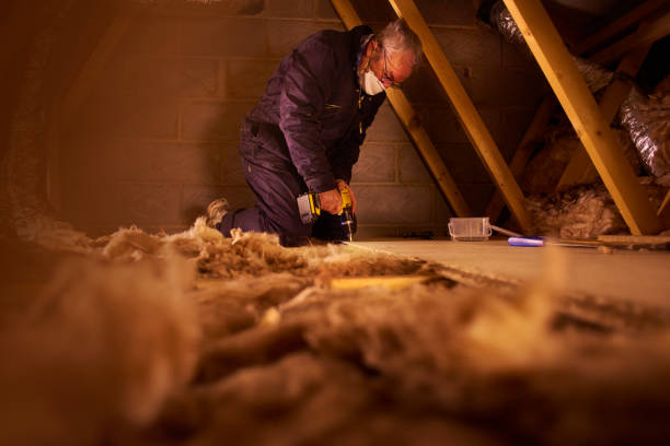Best Insulation Installation Services in Earlimart, CA